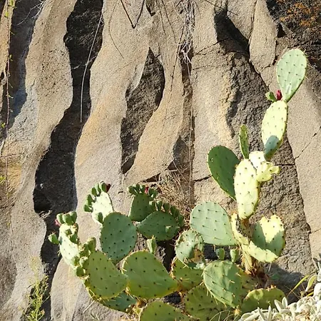 Couette-café La Grande Maison